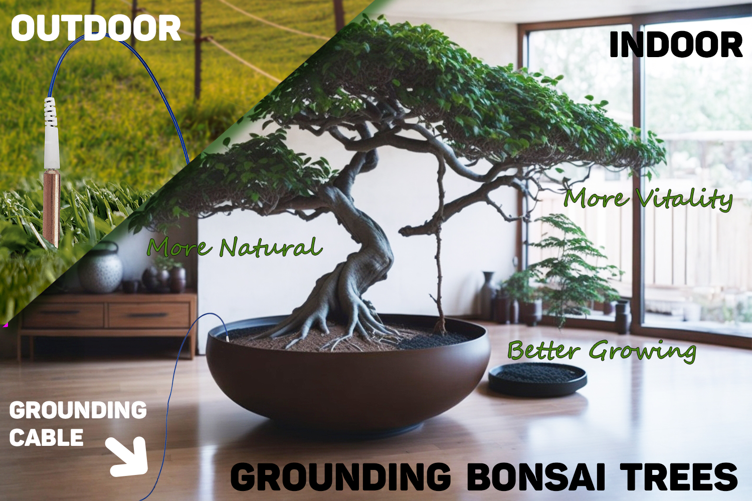 you should ground your indoor bonsai tree.